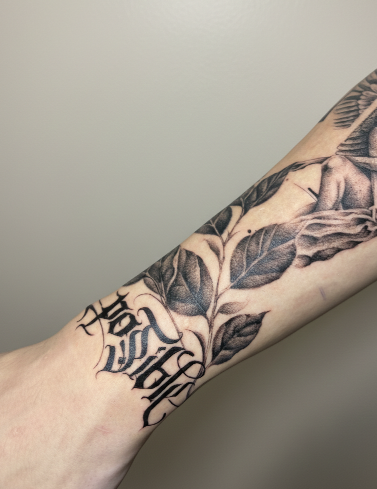 Portfólio Projetos Realizados