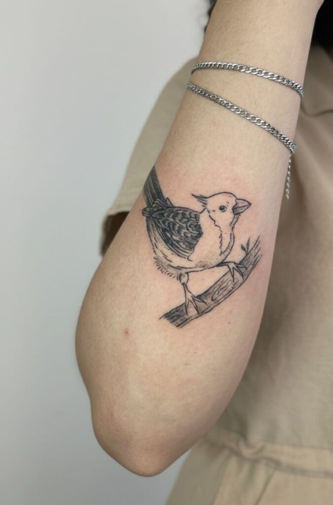 Portfólio Projetos Realizados