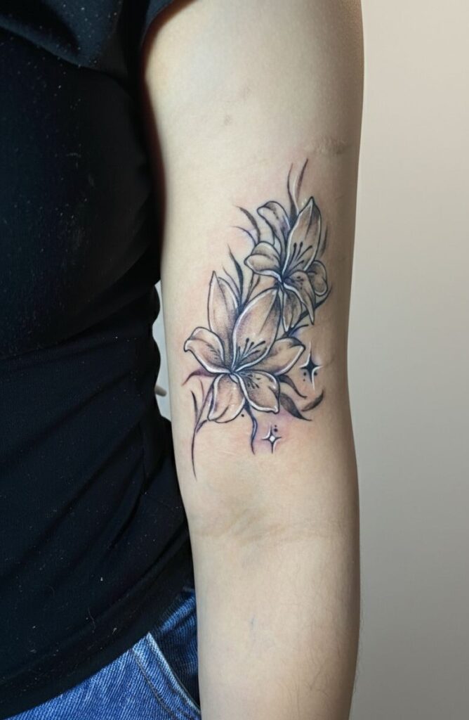 Portfólio Projetos Realizados